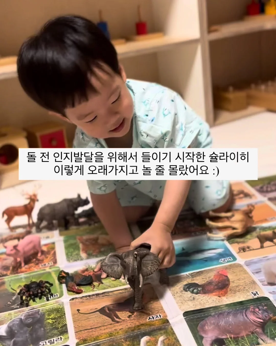 키위티 바나나 2