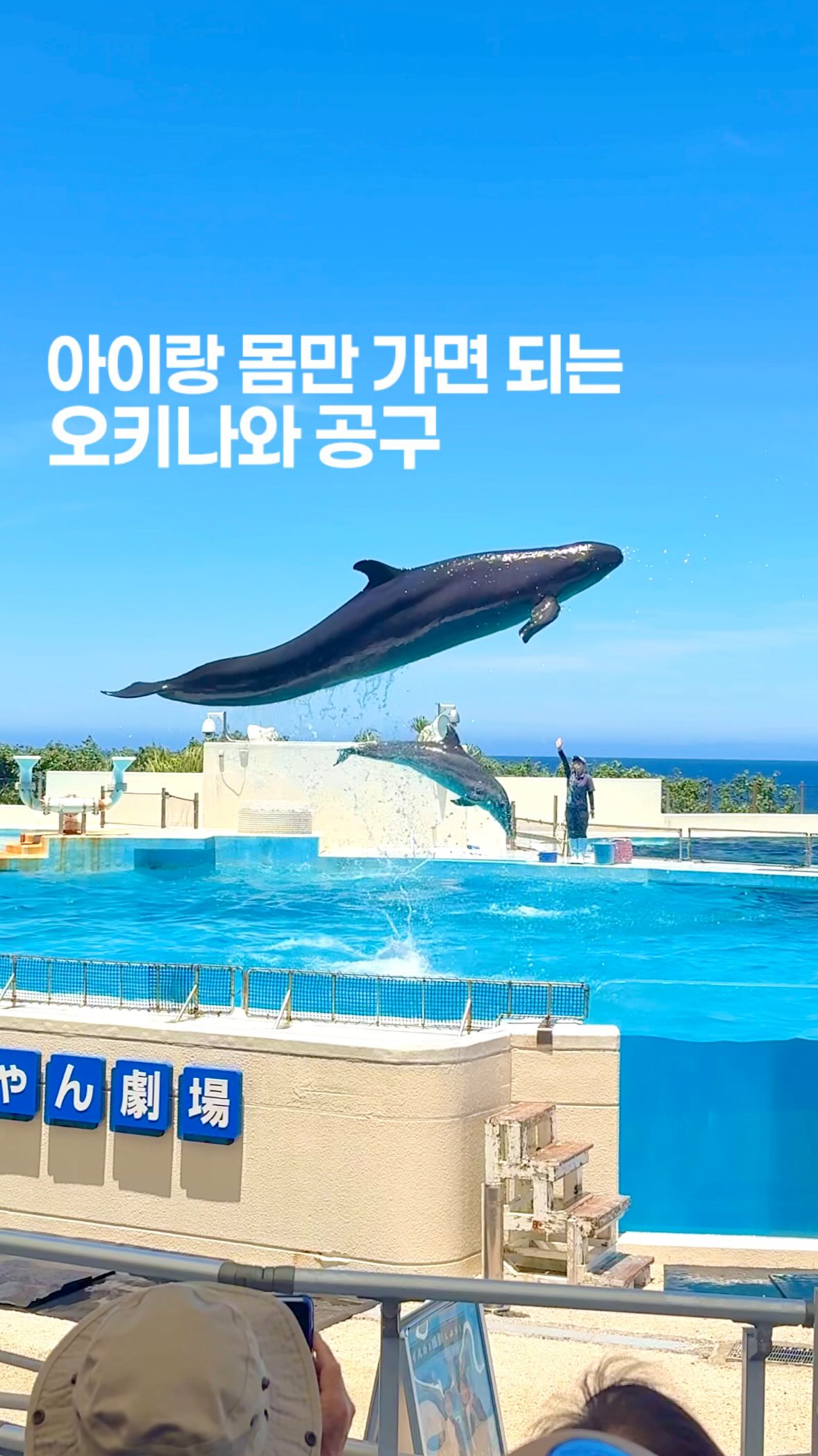 에핑글러 꽃 플랫