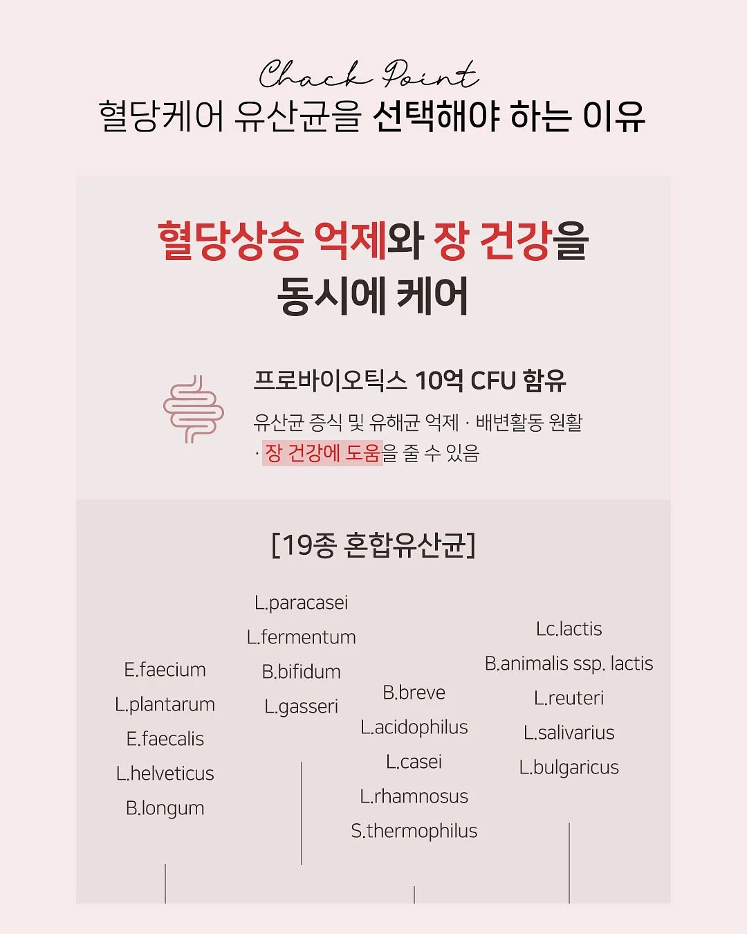 칸나멜라 케이준 시즈닝 35g 6