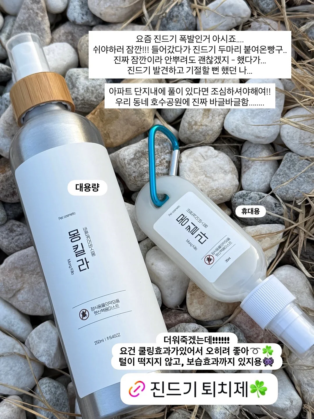 토마토 살사 3