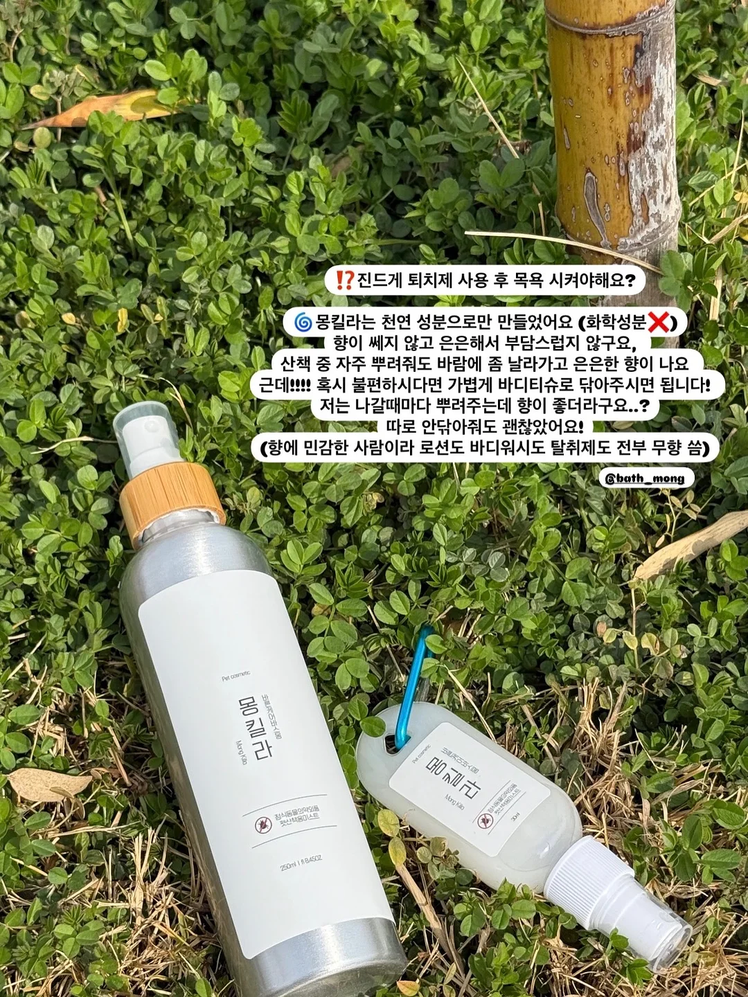 토마토 살사 4