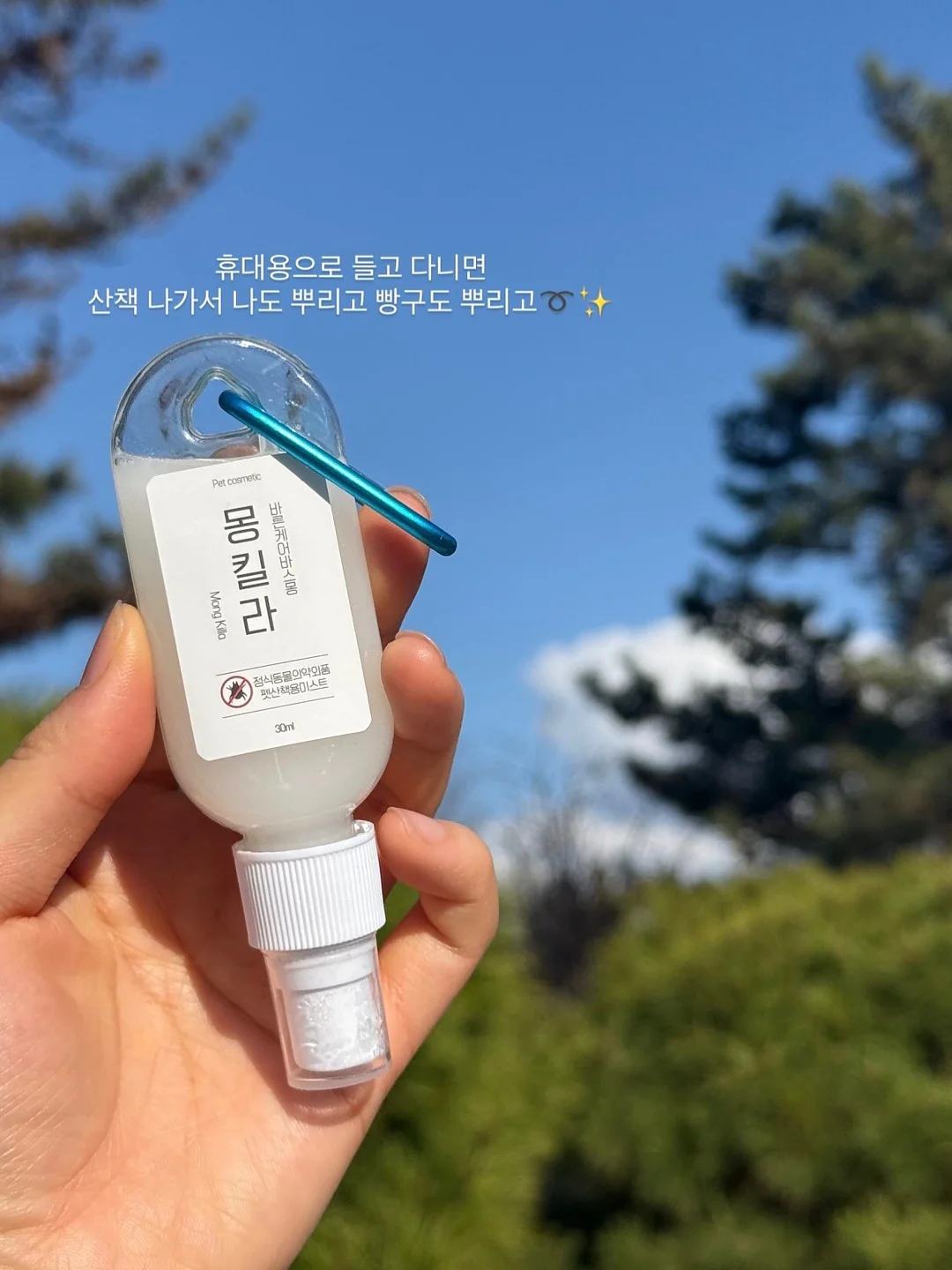 토마토 살사 6