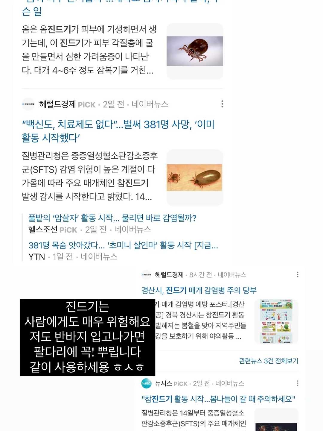 토마토 살사 7