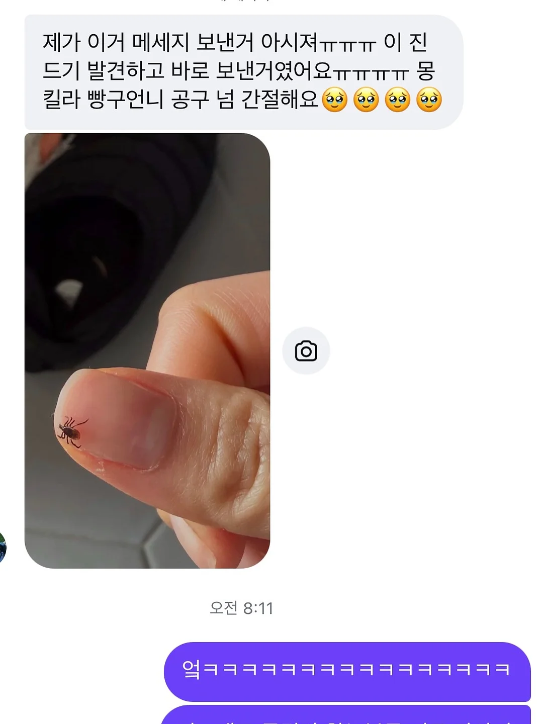 토마토 살사 8