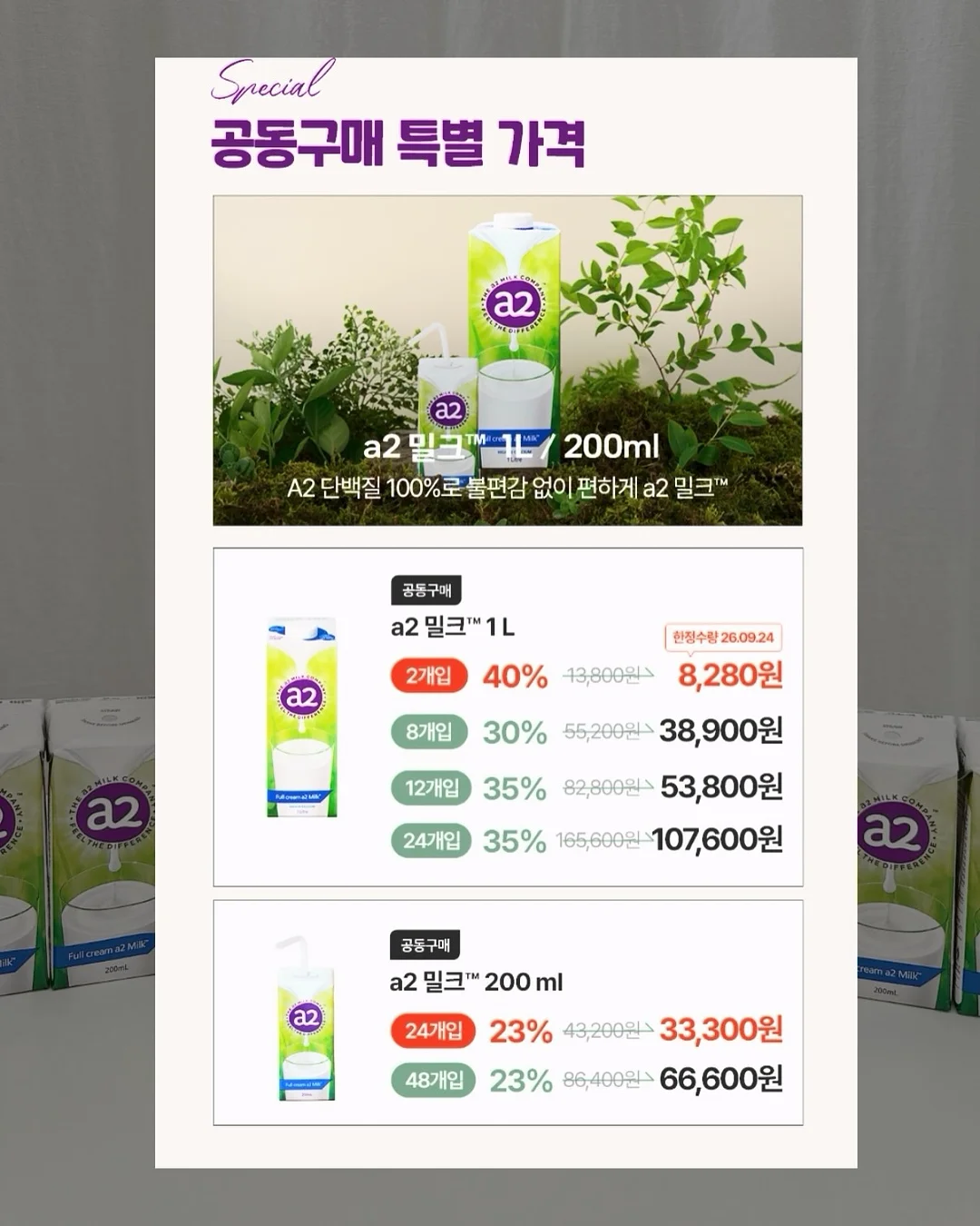 책 출판 4
