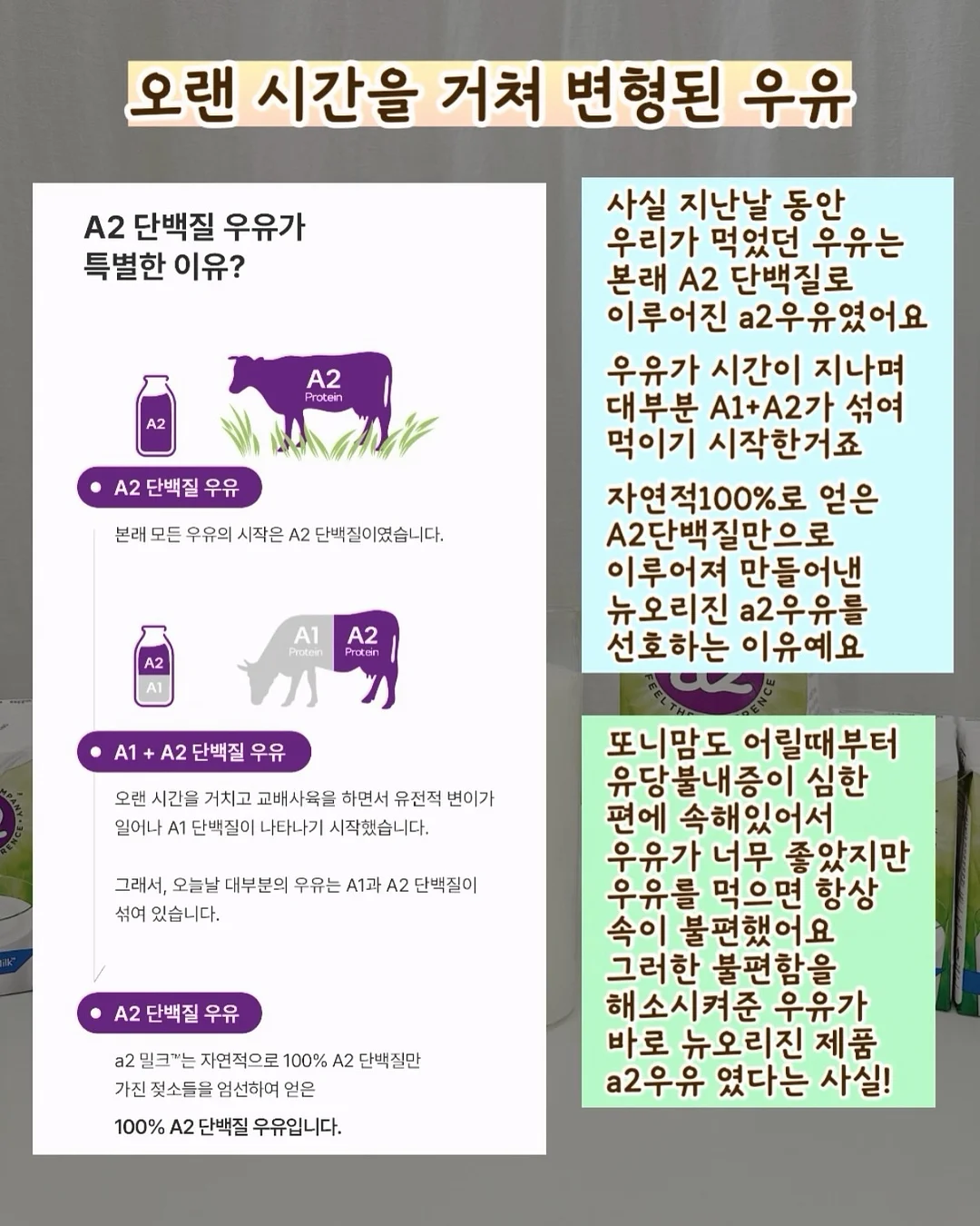 책 출판 7