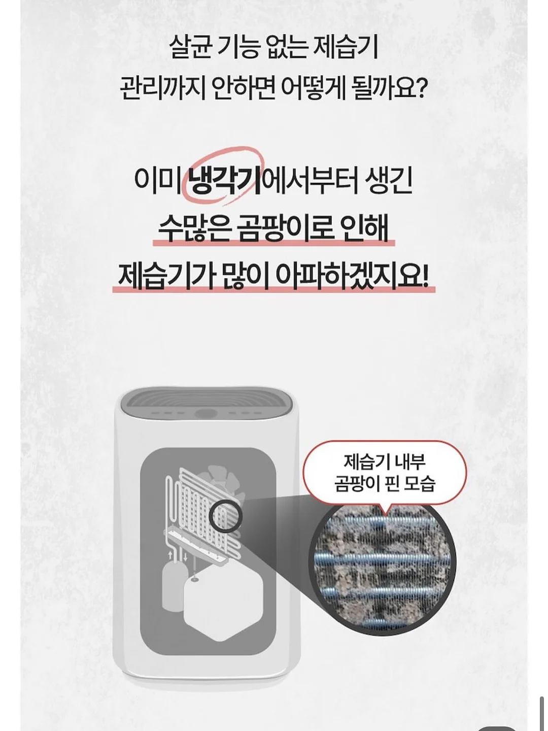 디올 티셔츠 13