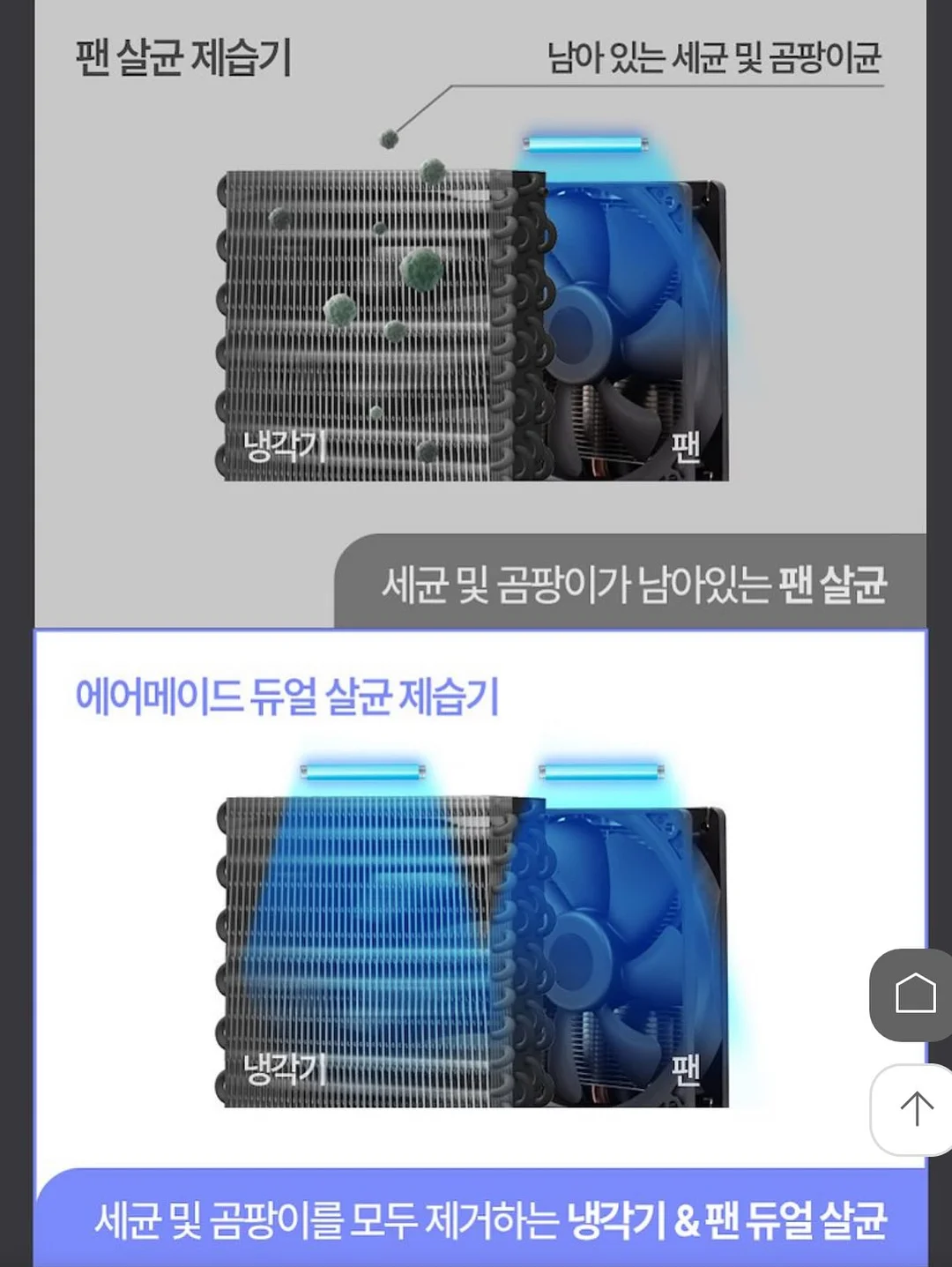 디올 티셔츠 15
