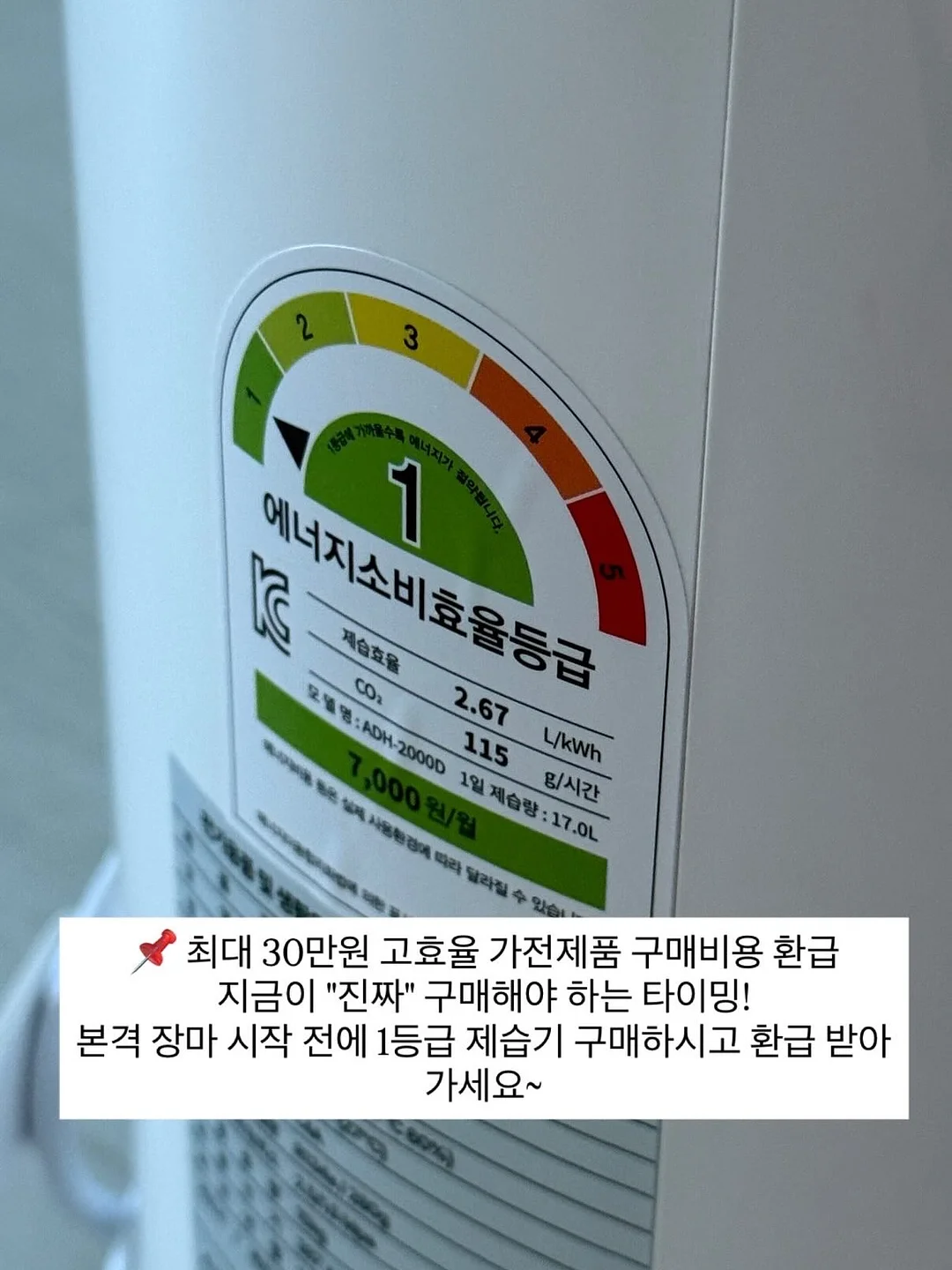 디올 티셔츠 4