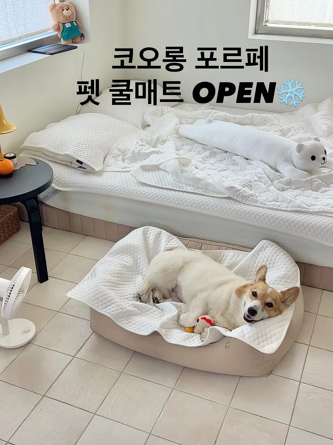 피스타치오 초코 크랙 쿠키 1