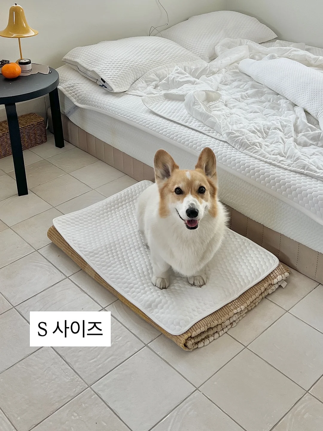 피스타치오 초코 크랙 쿠키 12