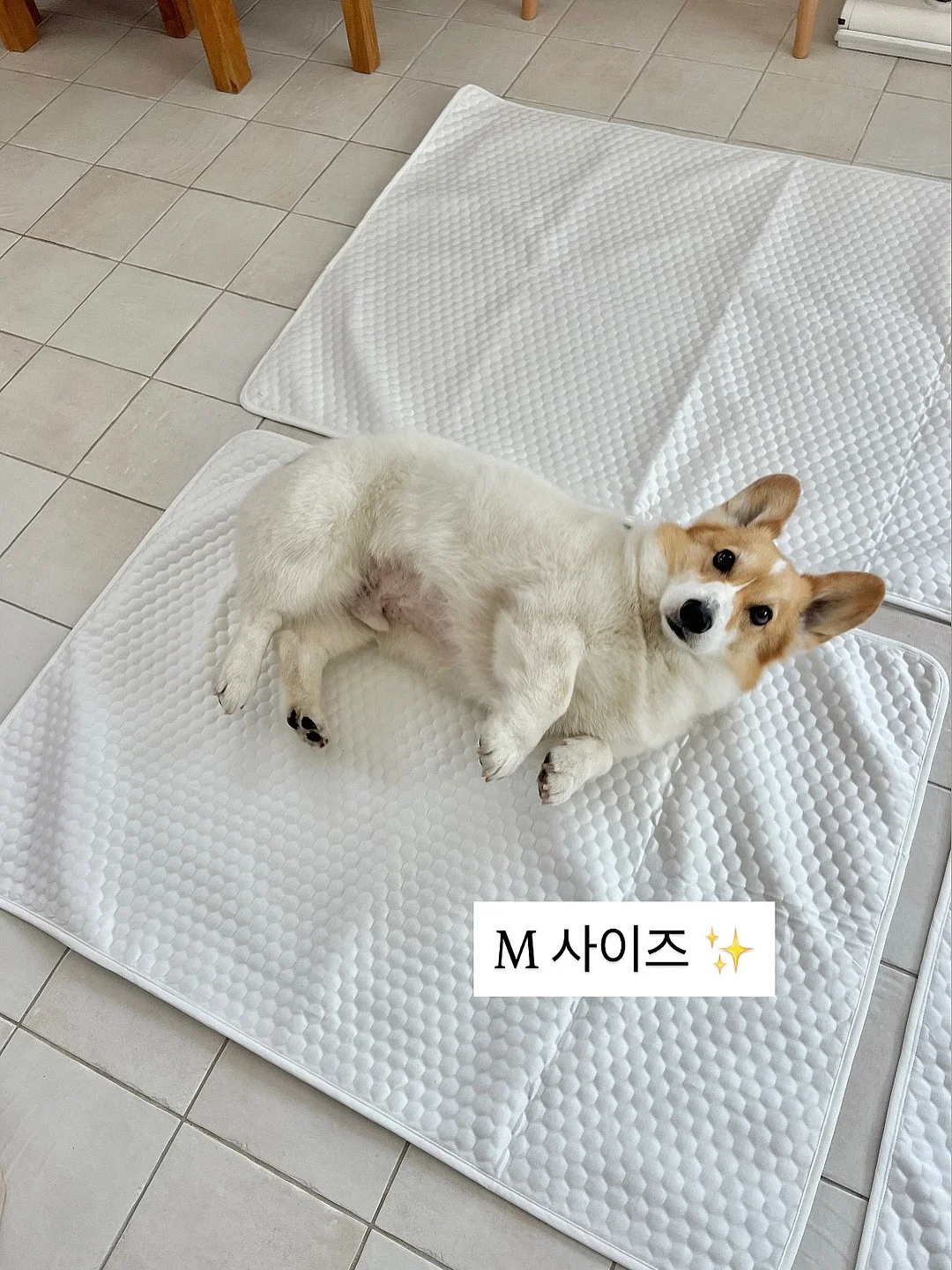 피스타치오 초코 크랙 쿠키 13