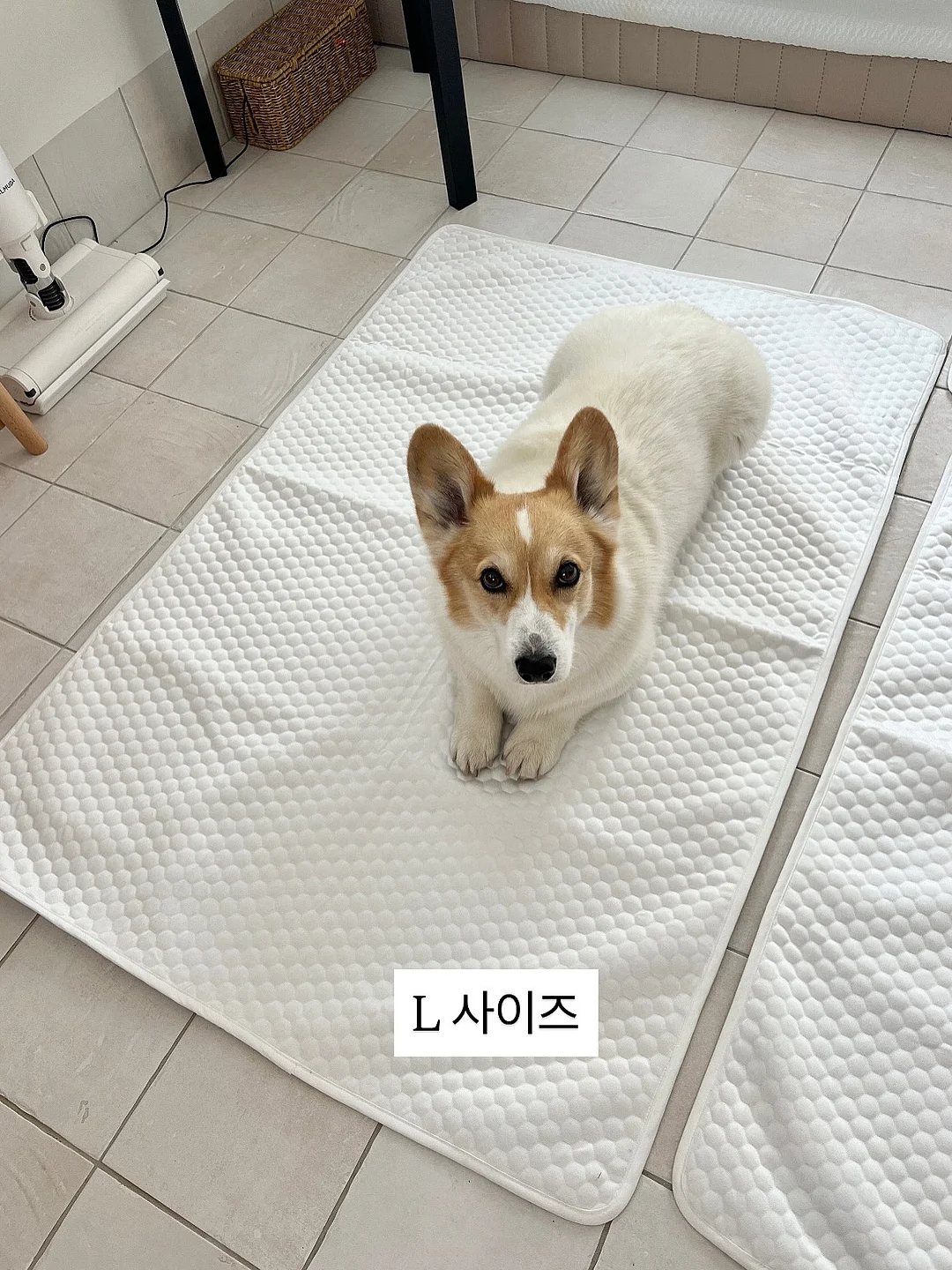 피스타치오 초코 크랙 쿠키 14