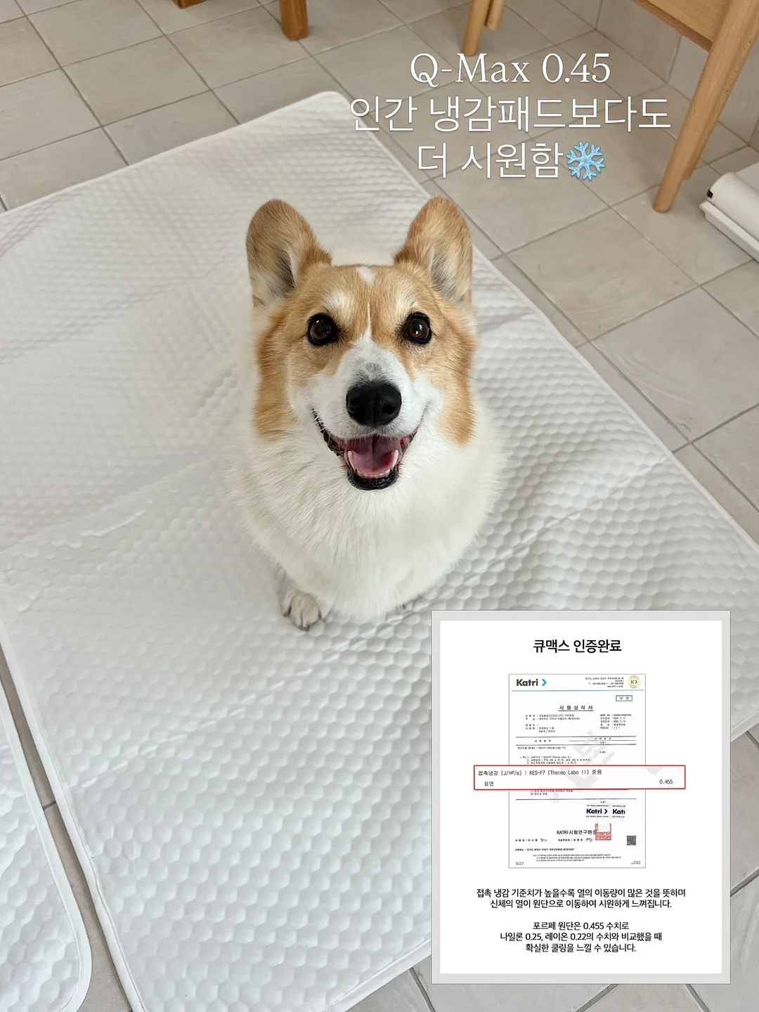 피스타치오 초코 크랙 쿠키 17