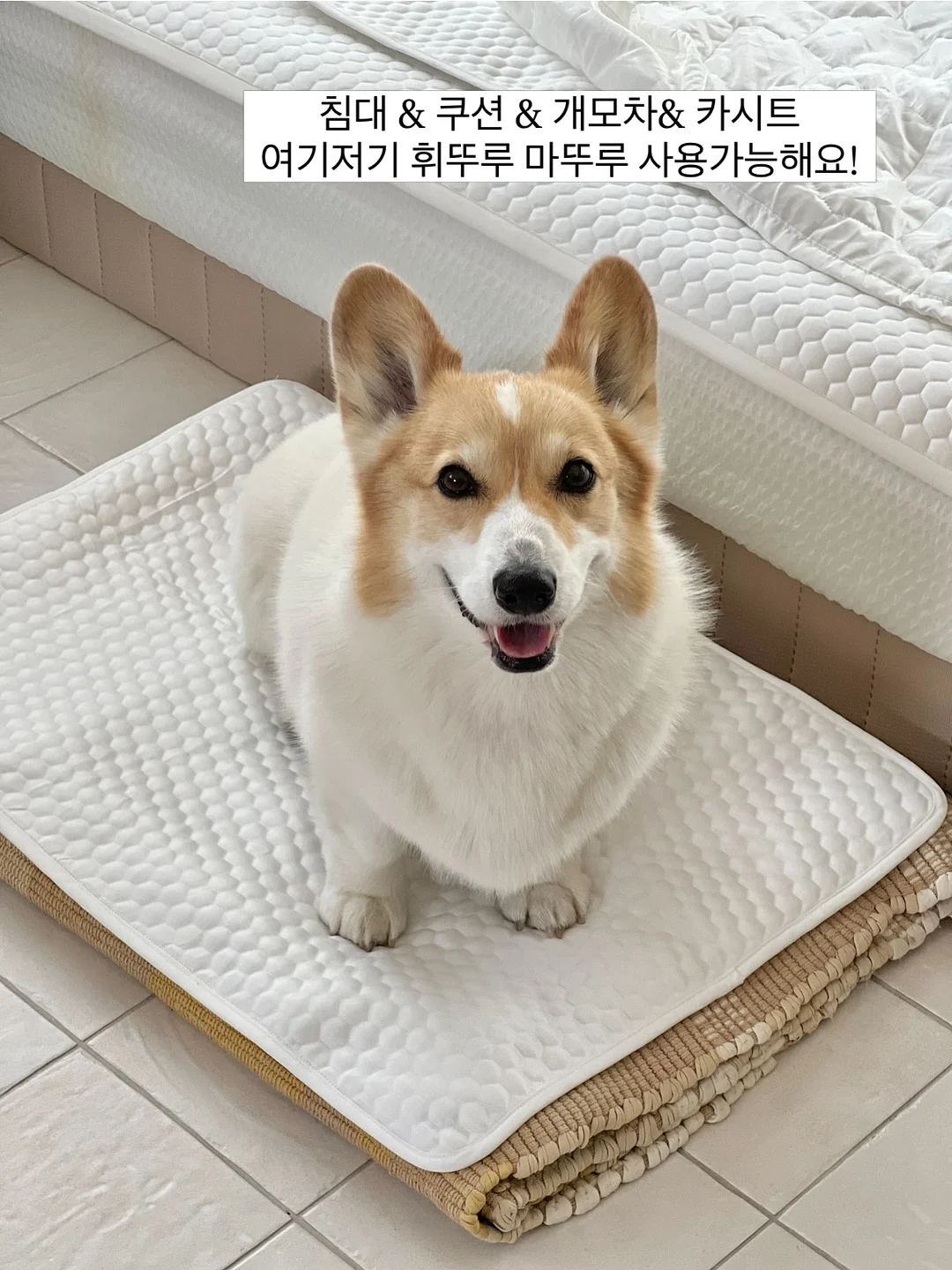 피스타치오 초코 크랙 쿠키 18