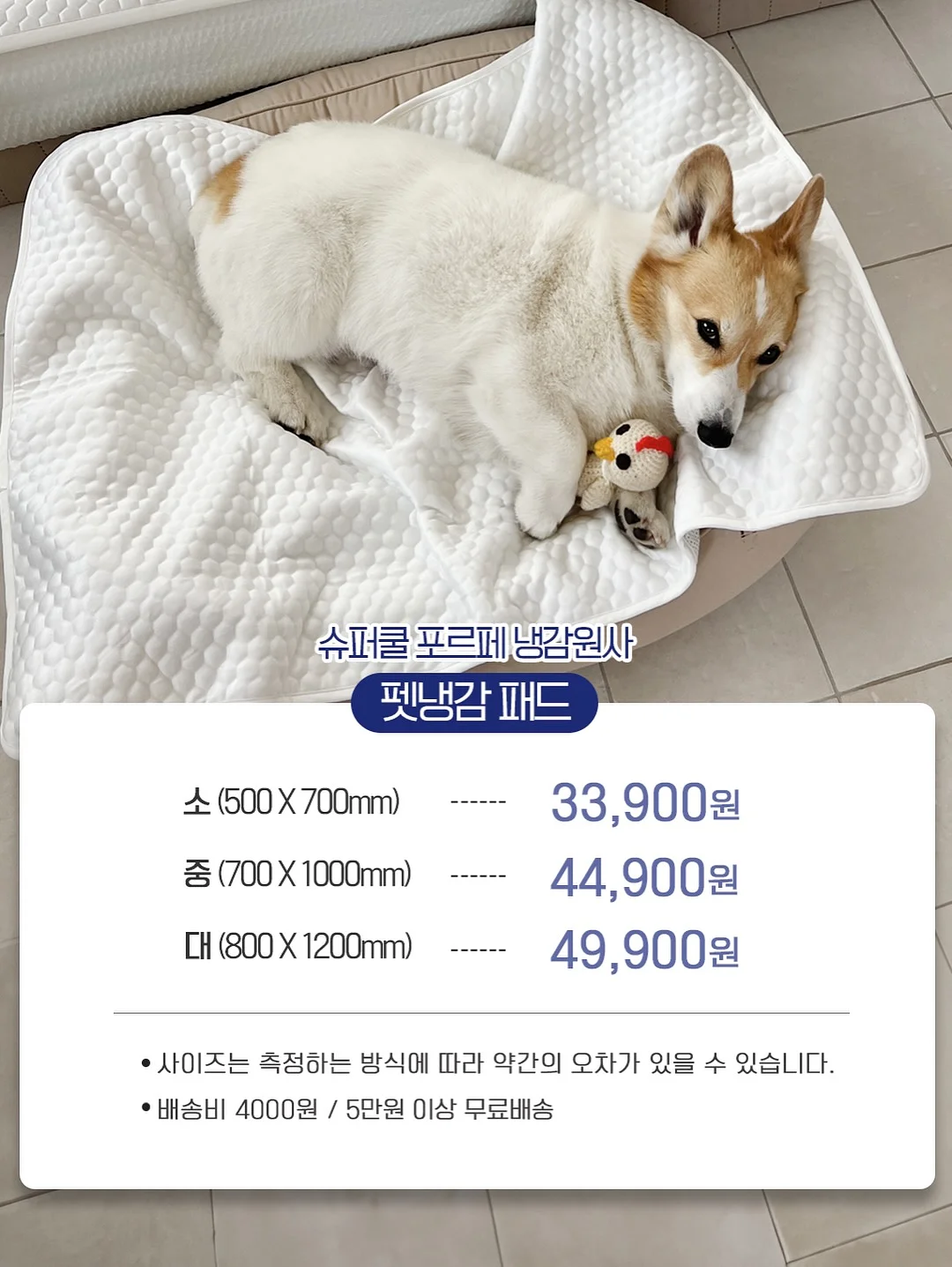 피스타치오 초코 크랙 쿠키 20