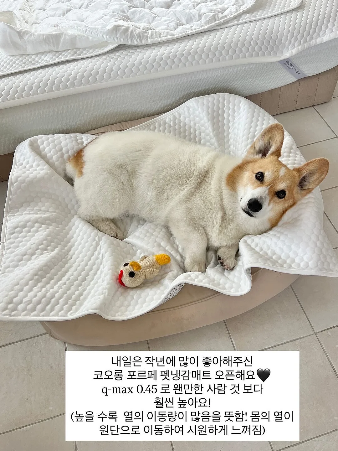 피스타치오 초코 크랙 쿠키 2