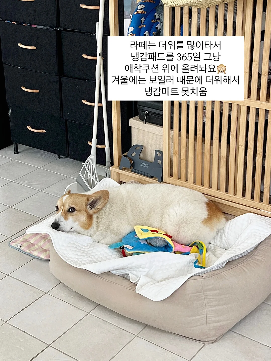 피스타치오 초코 크랙 쿠키 5
