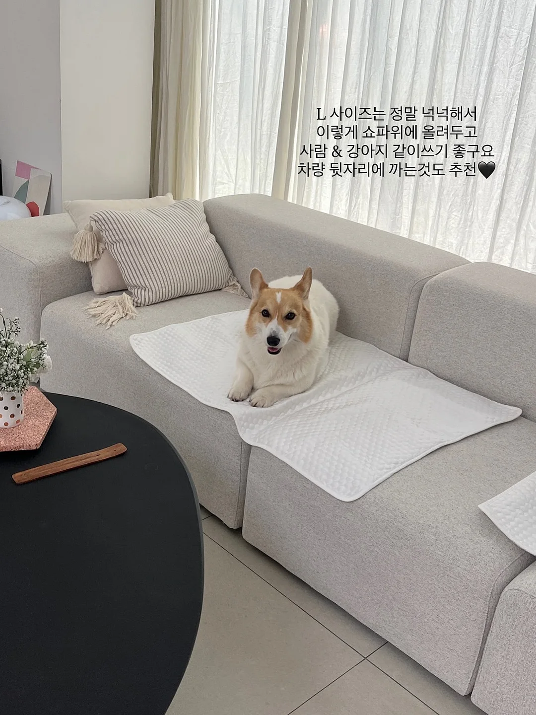 피스타치오 초코 크랙 쿠키 7