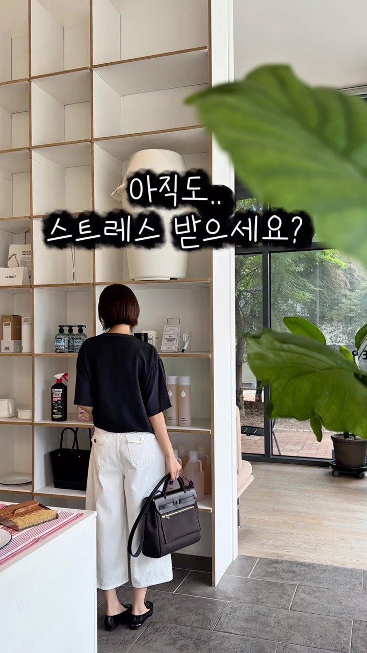 대전 빵버스