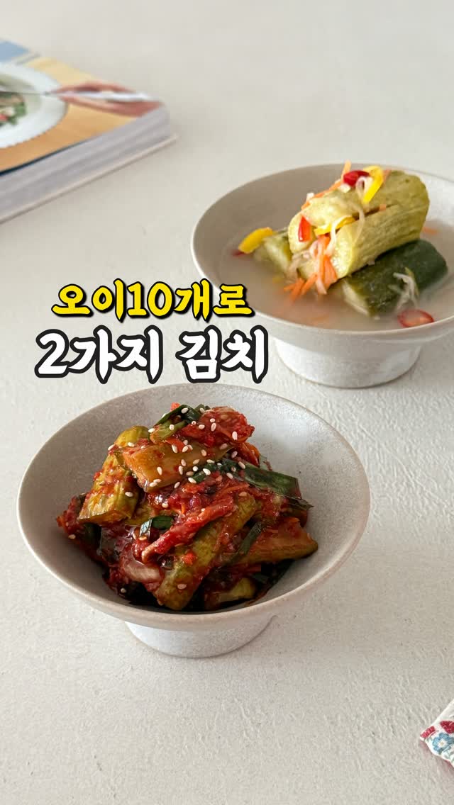 BONUEE 2026 SS