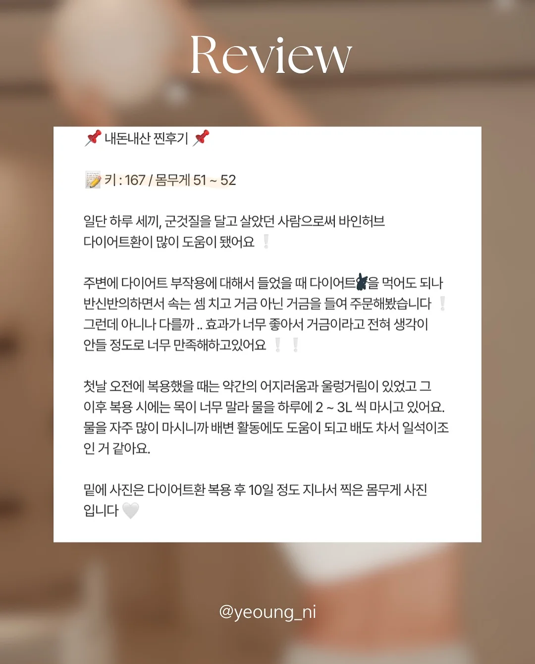 황치즈쫀득초코칩 11