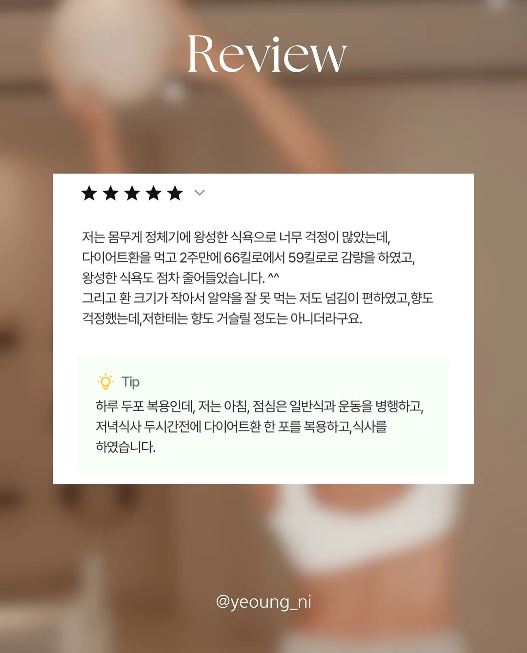 황치즈쫀득초코칩 12