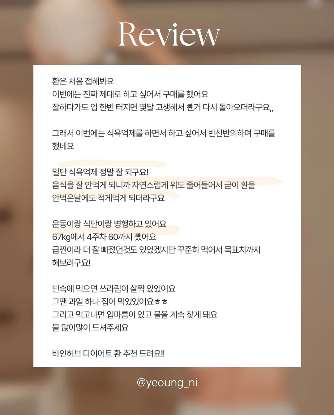 황치즈쫀득초코칩 2