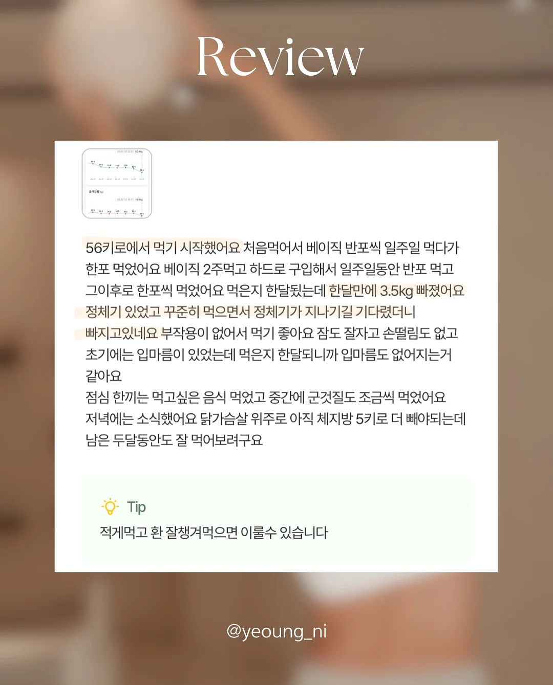 황치즈쫀득초코칩 5