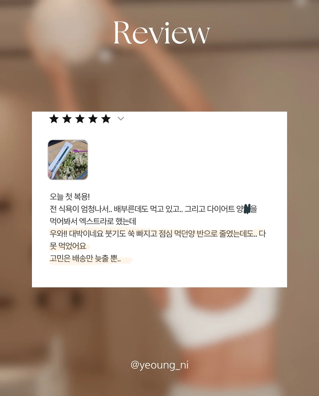 황치즈쫀득초코칩 8