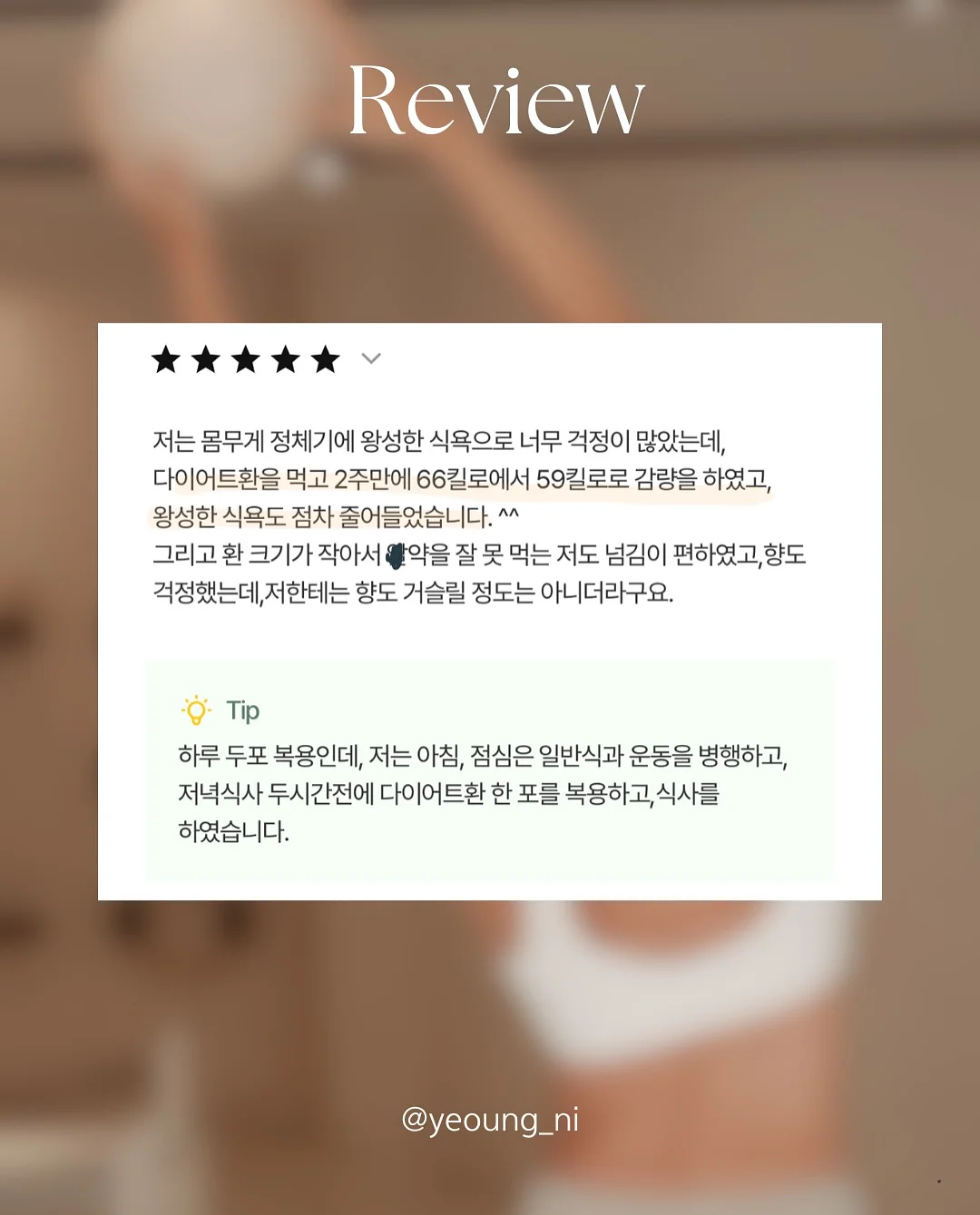 황치즈쫀득초코칩 9