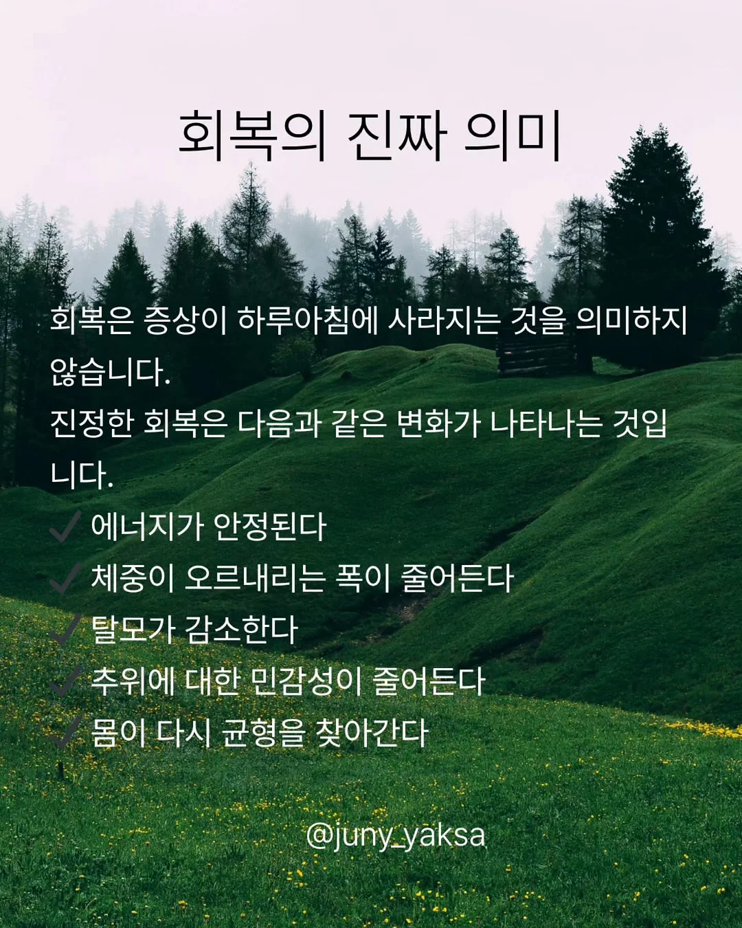 핸드폰 미니 크로스백 11