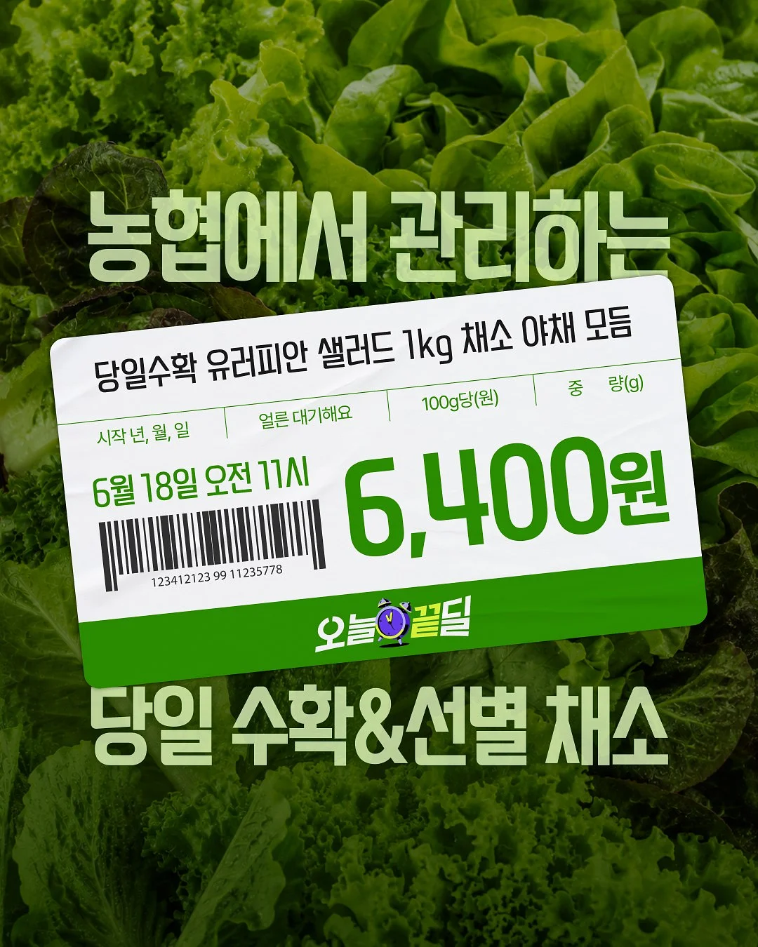 Free Korean Language Class in Busan