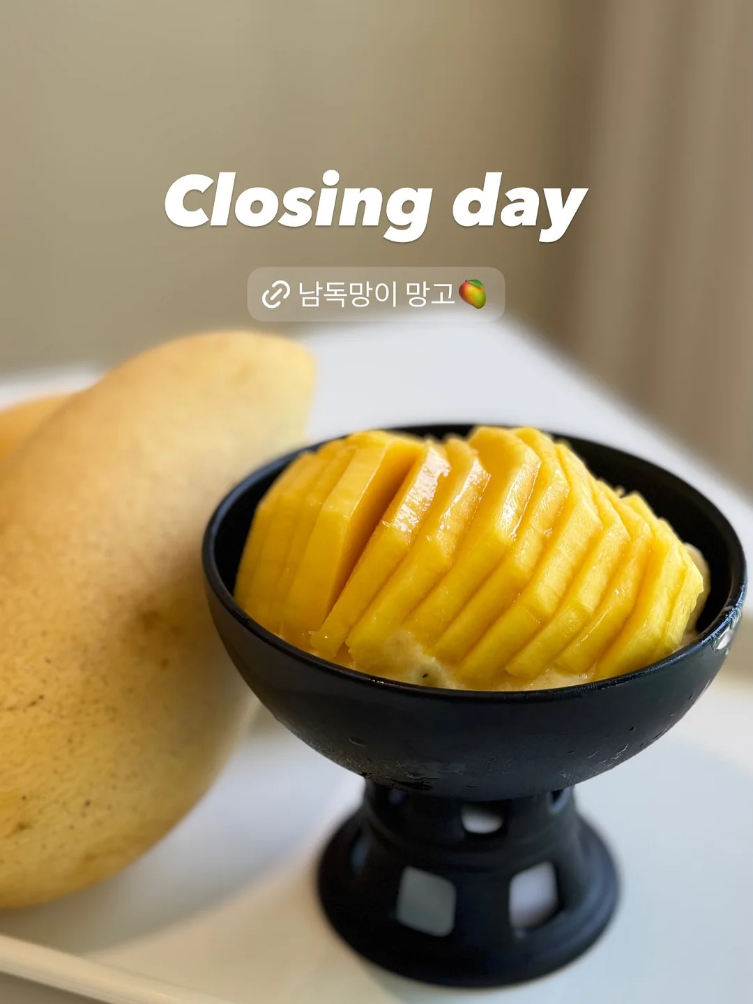 데일리 네온썸머 네온시럽 5종 + 실버 자석 2종 1