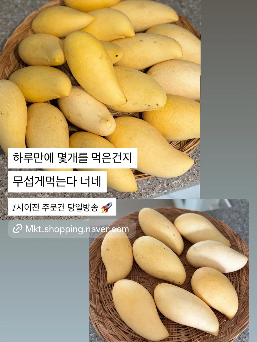 데일리 네온썸머 네온시럽 5종 + 실버 자석 2종 6