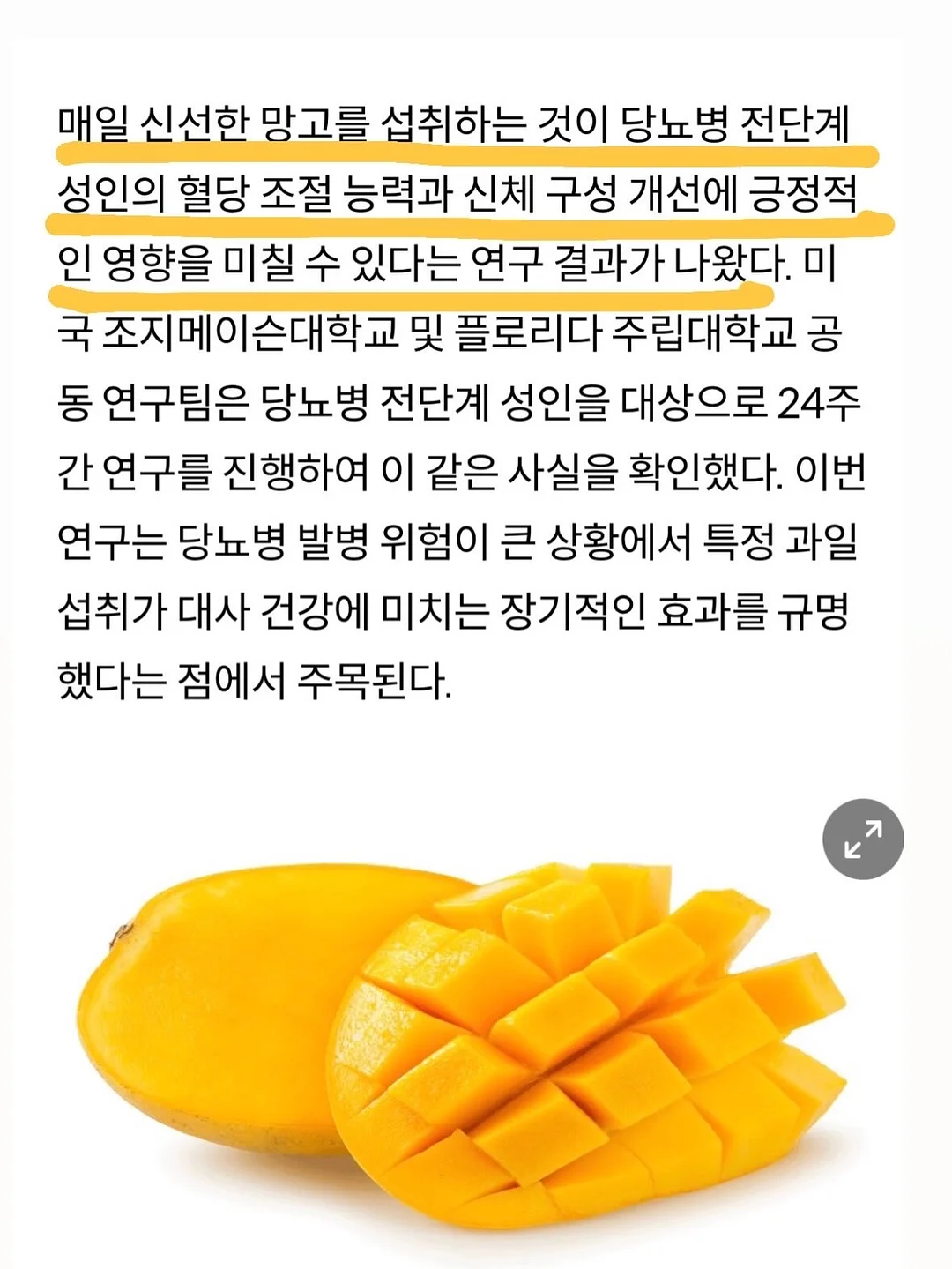 데일리 네온썸머 네온시럽 5종 + 실버 자석 2종 7