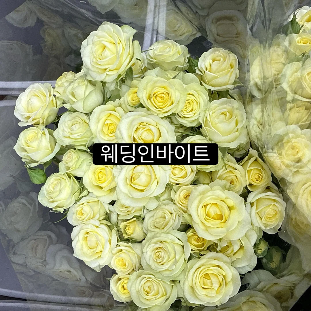 으스스상점 신상품 1