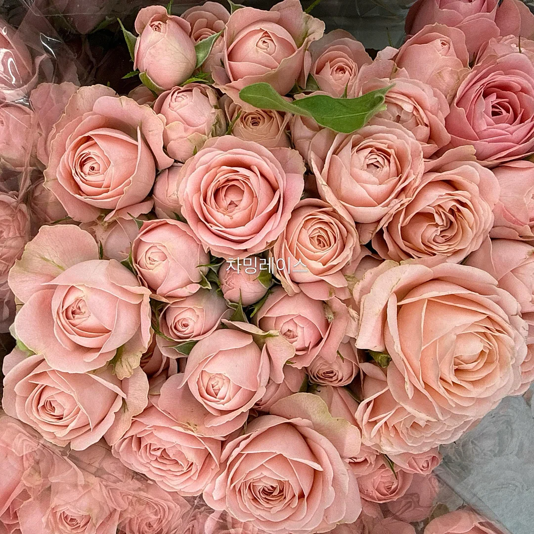 으스스상점 신상품 3