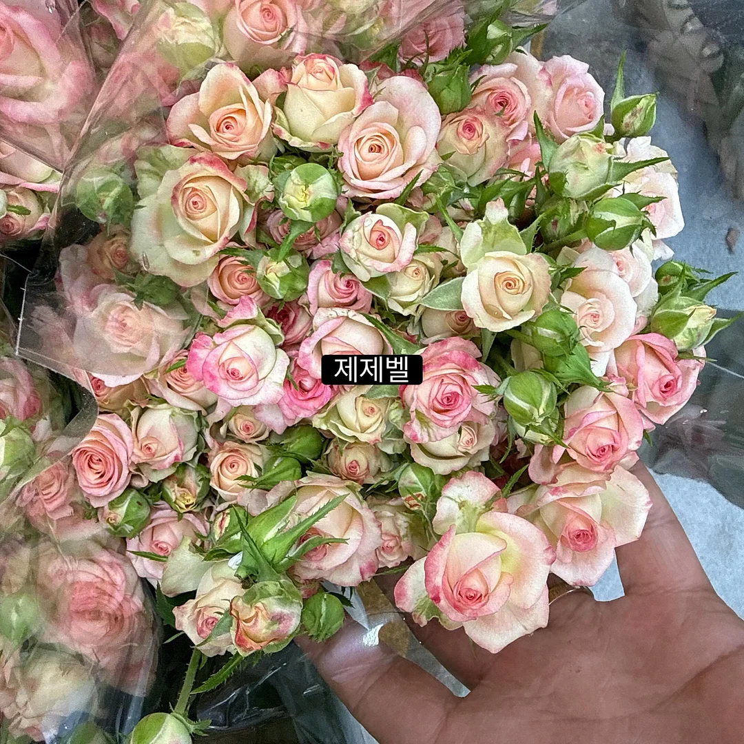 으스스상점 신상품 4