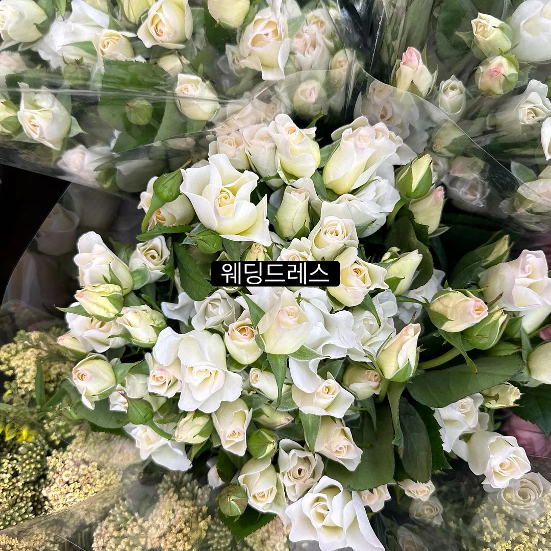 으스스상점 신상품 5