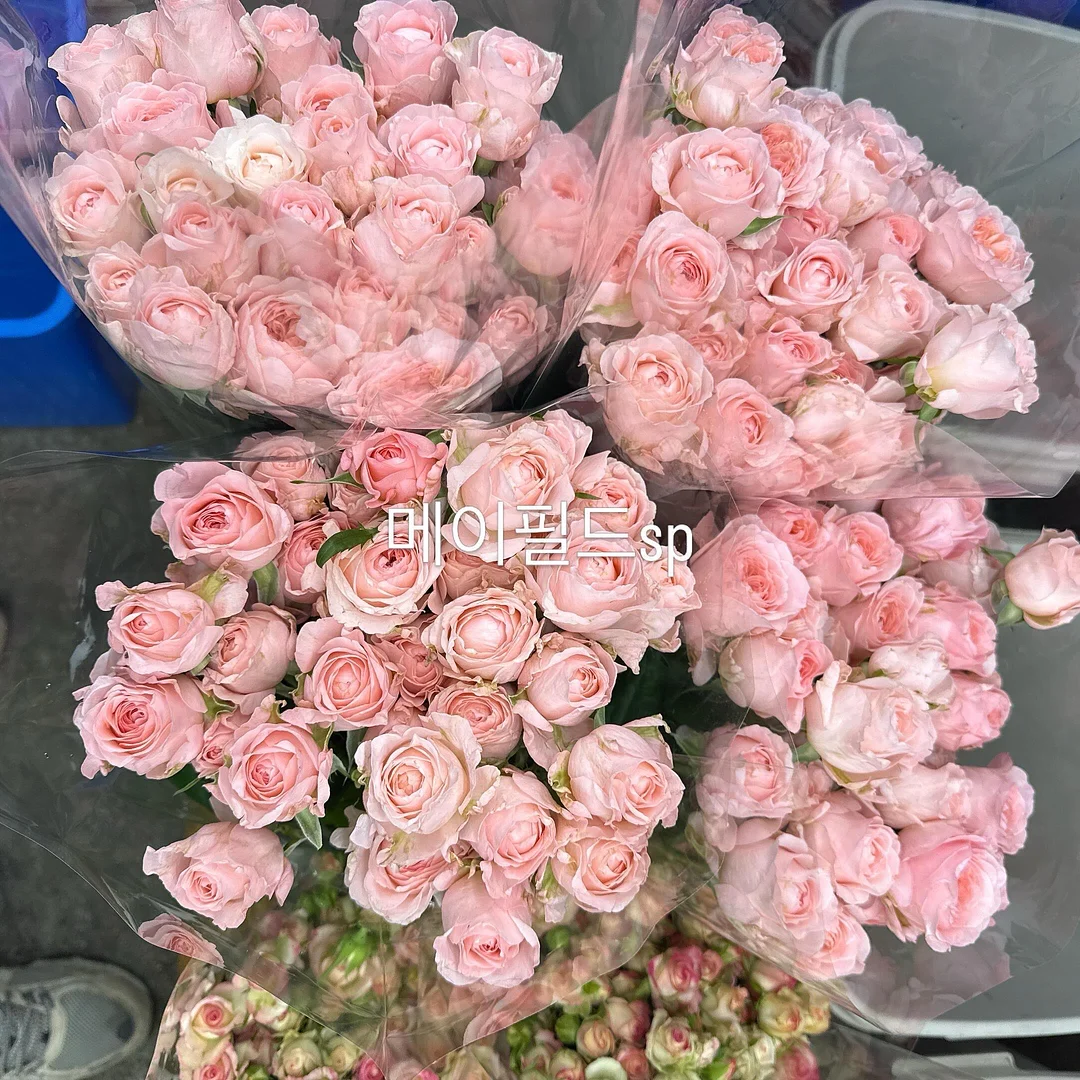 으스스상점 신상품 6
