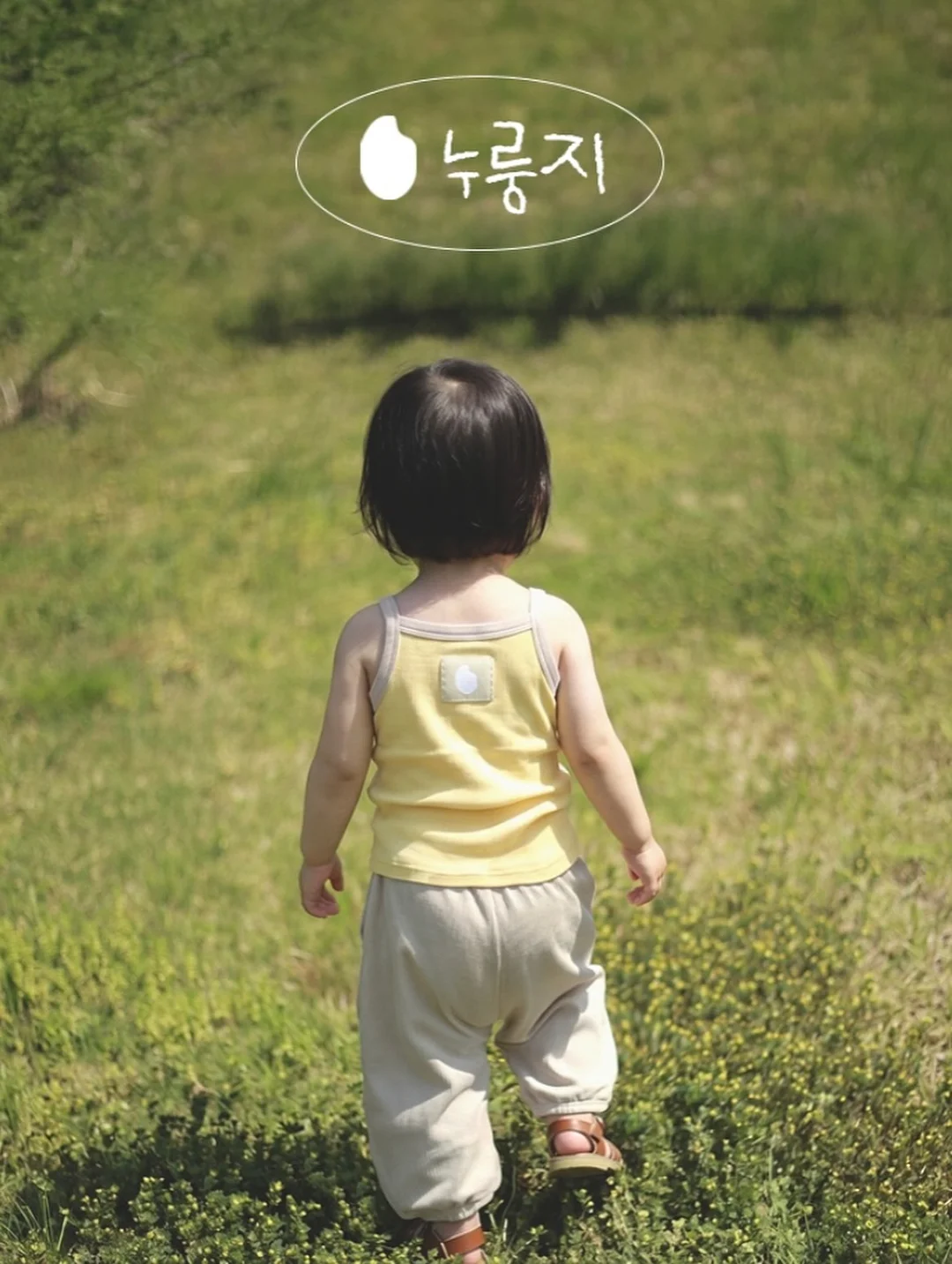 후레쉬베리 펑리수맛 16