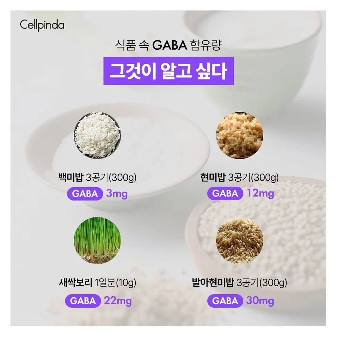 디키즈 화이트 그레이 나그랑 반팔 7