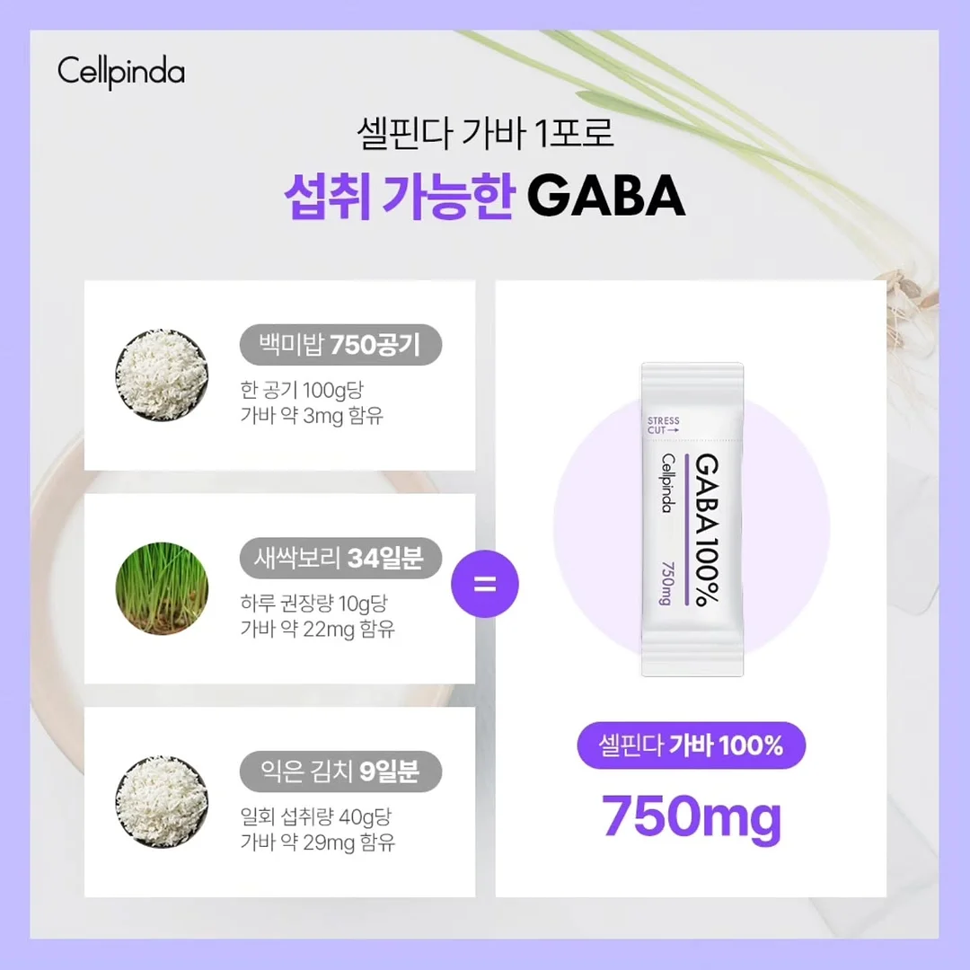 디키즈 화이트 그레이 나그랑 반팔 8
