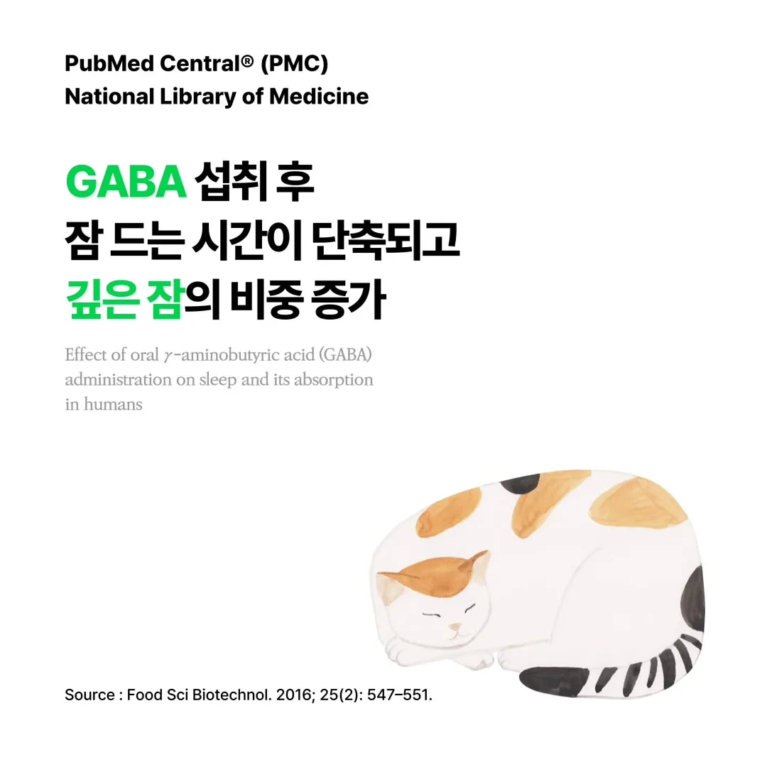 디키즈 화이트 그레이 나그랑 반팔 9