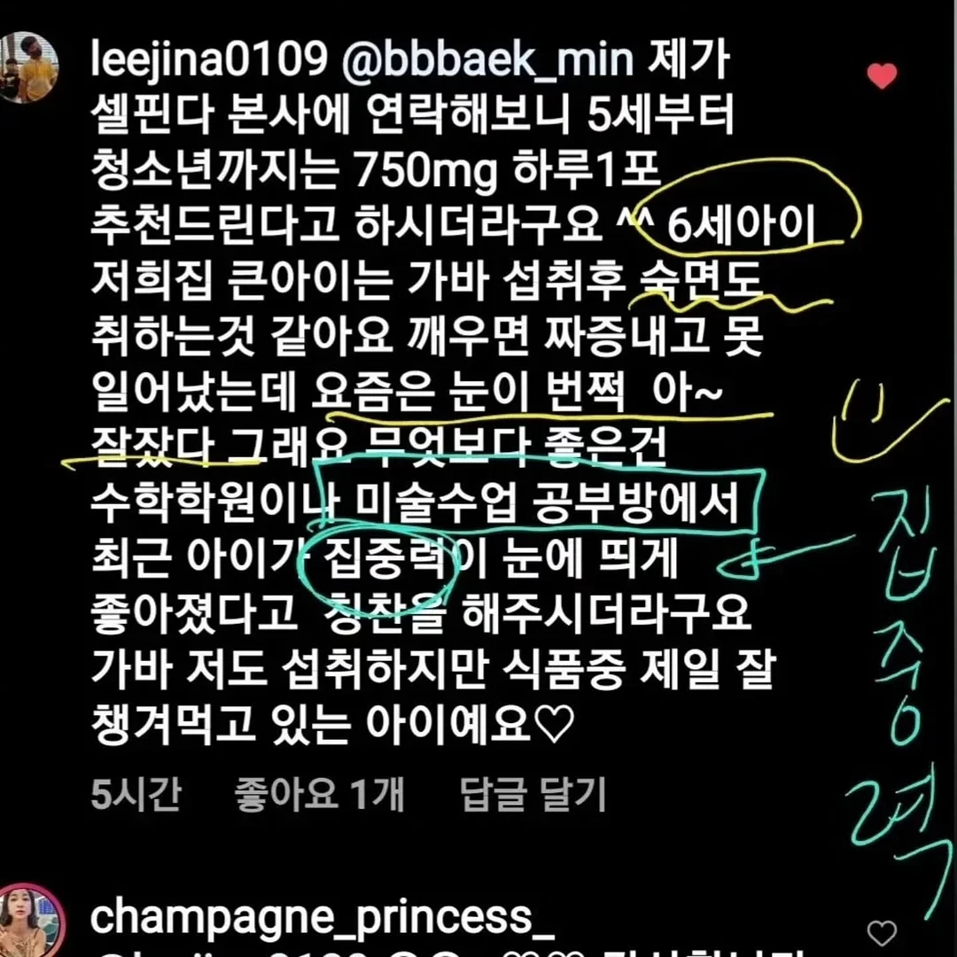 디키즈 화이트 그레이 나그랑 반팔 10
