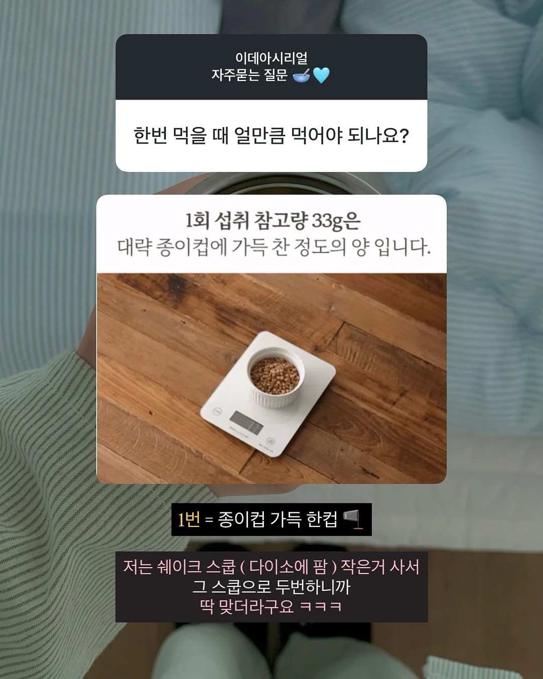 에핀 호접란 2