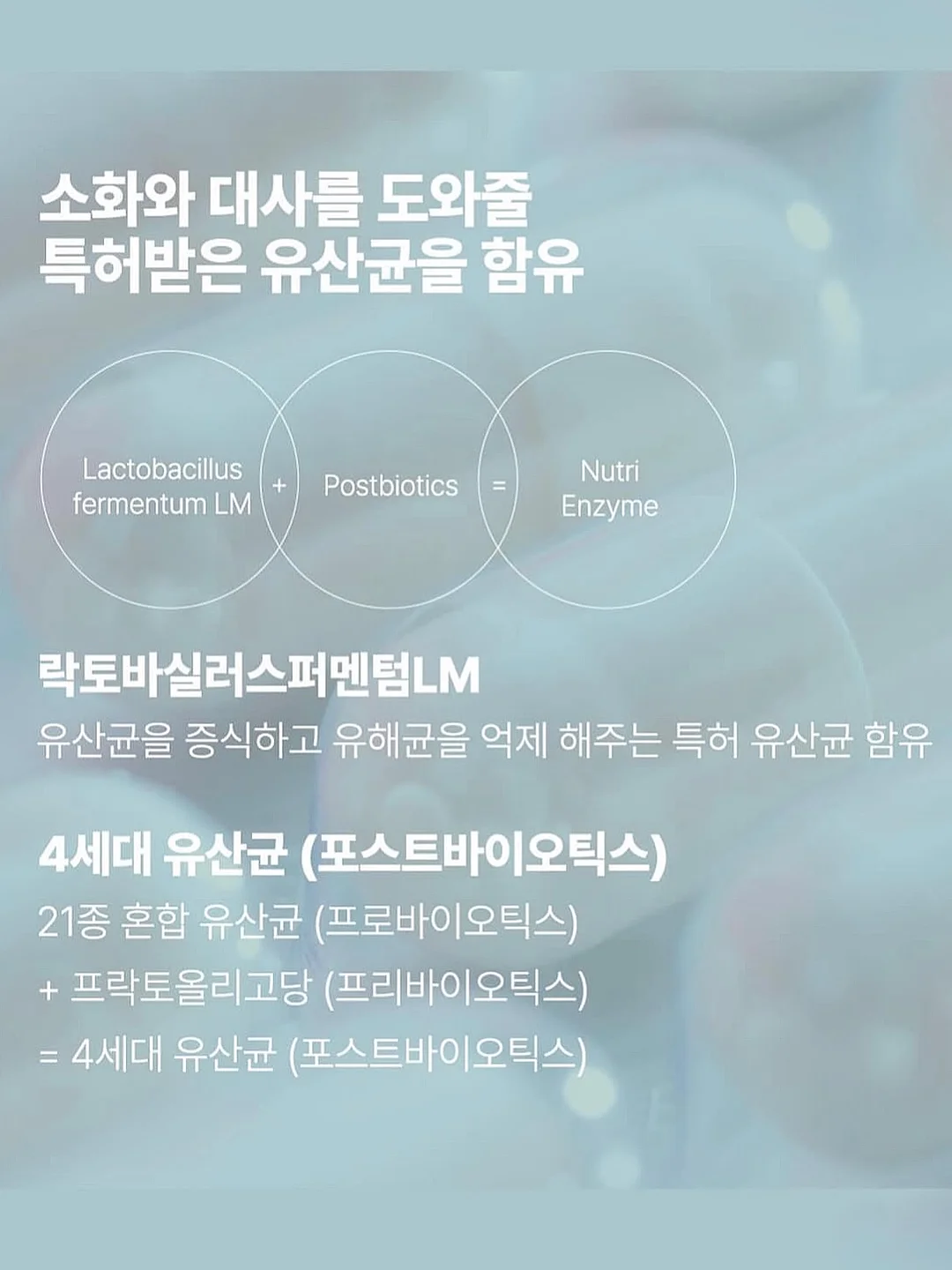 피노라 웨딩관리 19