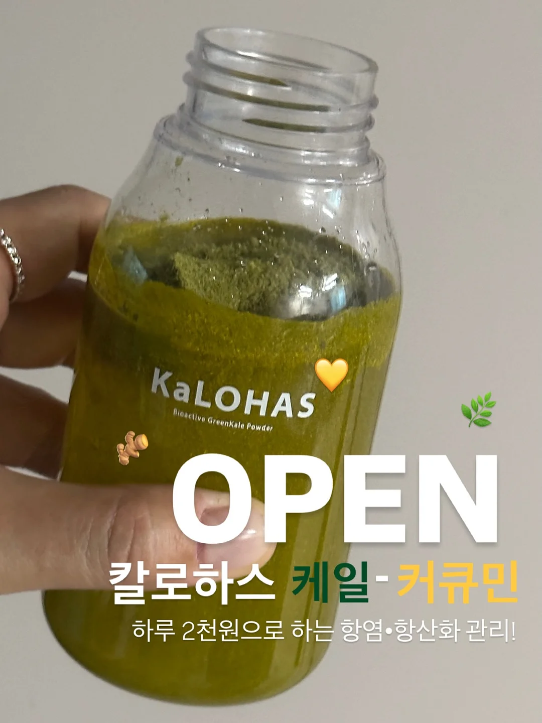 바퀴벌레 이야기 1