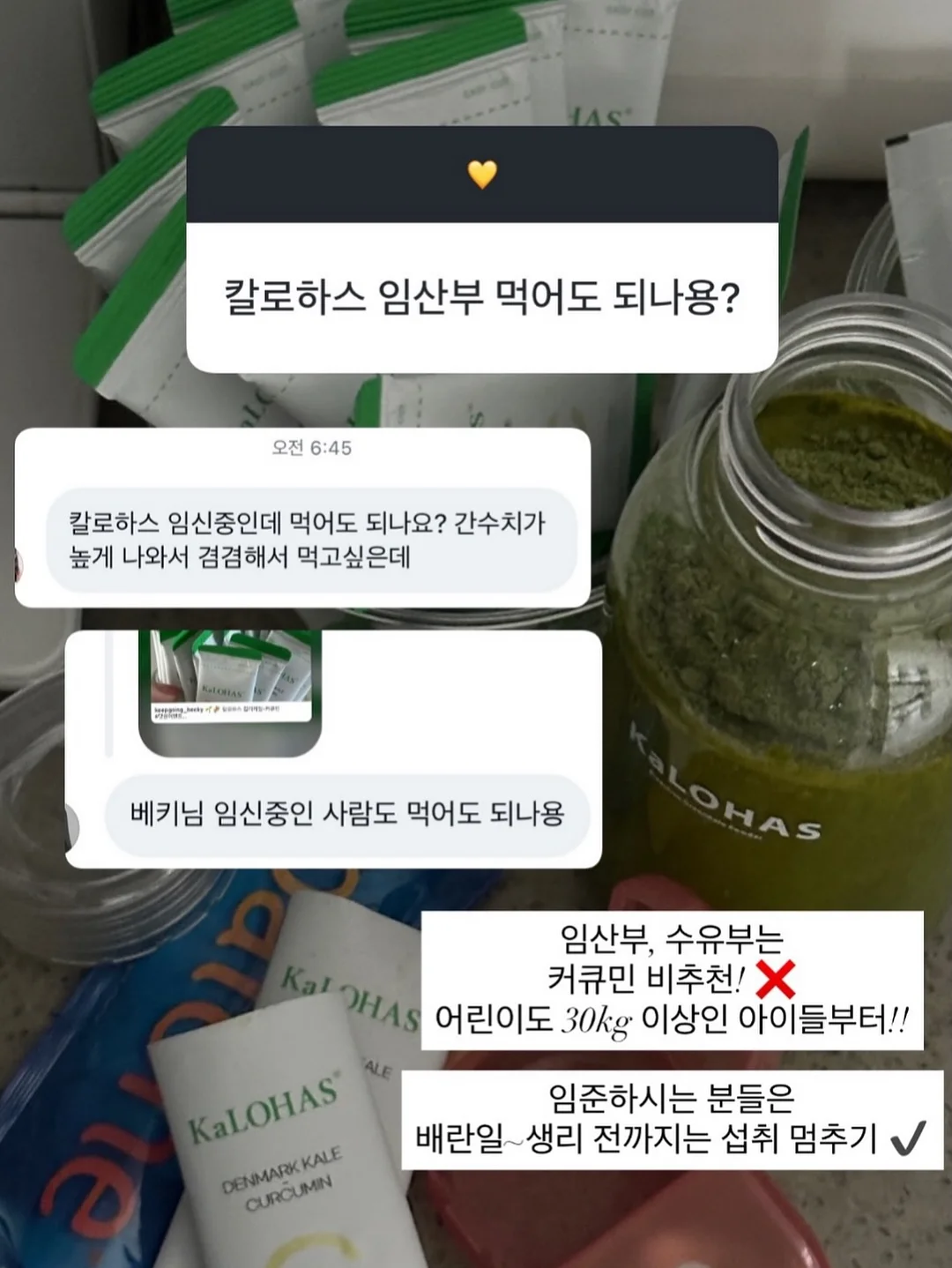 바퀴벌레 이야기 15